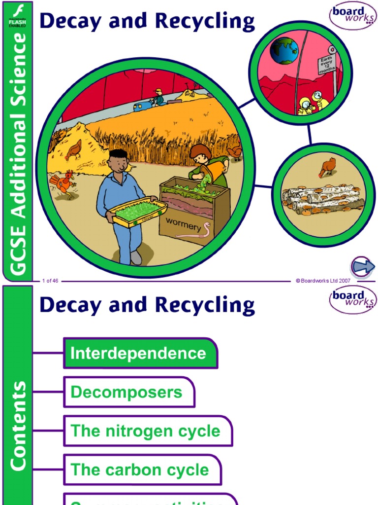 Decay and Recycling | PDF | Decomposition | Soil