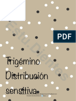 Trigemino 3 Downloable