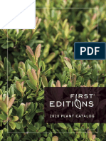 2020 Plant Catalog: Cinnamon Girl® Distylium