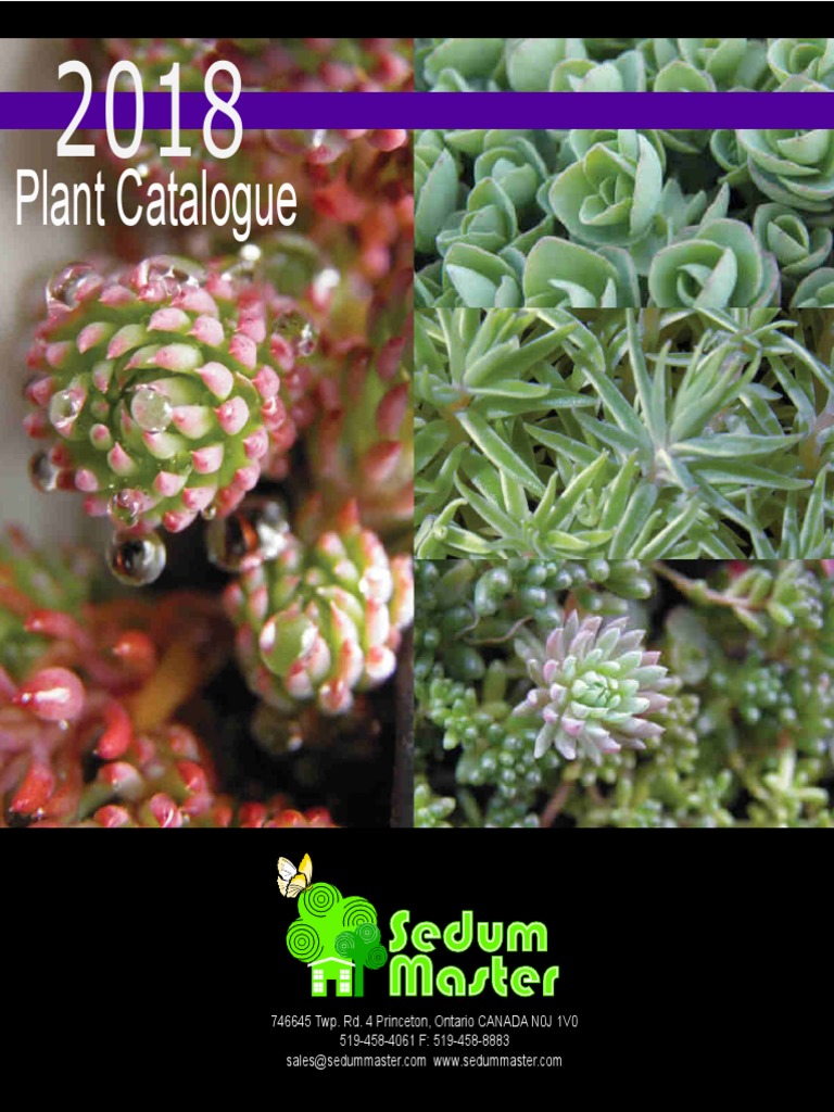 2018full Plant Catalogue PDF PDF Bulb Leaf
