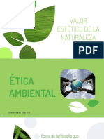Valor Estetico de La Naturaleza PDF