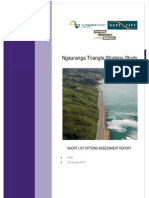 Ngauranga Triangle Strategy Study Short Options Report