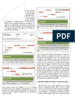 Parcial #5