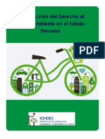 derecho_medio_ambiente.pdf