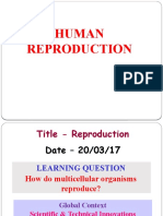 Human Reproduction Explained