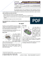 GC0104 - El Texto Descriptivo - 1ros PDF