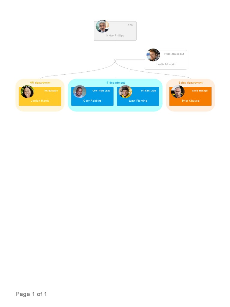 Company Team Structure Overview | PDF