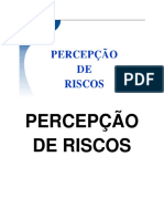 2º Percepção de Riscos - PDF (Recuperado)