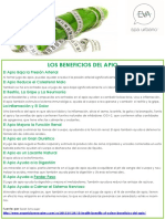 Los Beneficios Del Apio Completa PDF