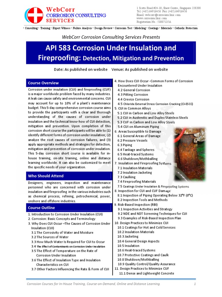 Corrosion Under Insulation Course | PDF | Corrosion | Thermal Insulation