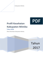 9412_Papua_Kab_Mimika_2016.pdf