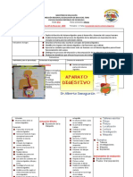 Sistema digestivo