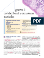 Cavidad Bucal Libro PDF