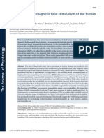 Transcranial Static Magnetic Field Stimulation of The Human Motor Cortex