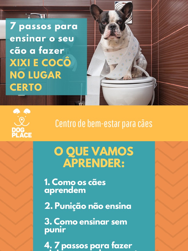 7 Passos para Ensinar Seu Cao A Fazer Xixi e Coco No Lugar Certo Dog ...