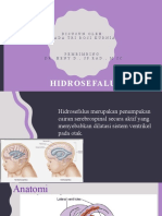 HIDROSEFALUS (Dr. Heny D., SP - Rad., M.Sc.