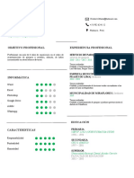 Curriculum Vitae