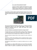 Que_es_una_plantacion_forestal