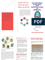 Gestion Cadena de Suministro Triptico PDF