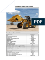 Chenggong CG 956 C PDF