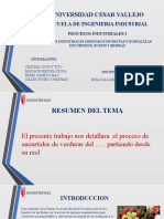 DERIVADOS DE FRUTAS Y ORTALIZAS_ PARDAVE, SIALER, CENTENO,PERES  11-05-19  AVANCE (1)