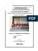 Guía N°1_Bioensayo cebolla (2)-convertido.docx