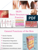 Skin: Basic Structure and Function