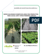 Guia_Raices_Saludables.pdf
