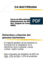 Genetica Bacteriana