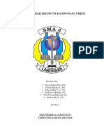 Laporan Praktikum Uji Kandungan Urine