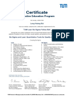 YB Certificate (2)