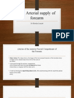The Arterial Supply of Forearm: DR Khadija Liaquat