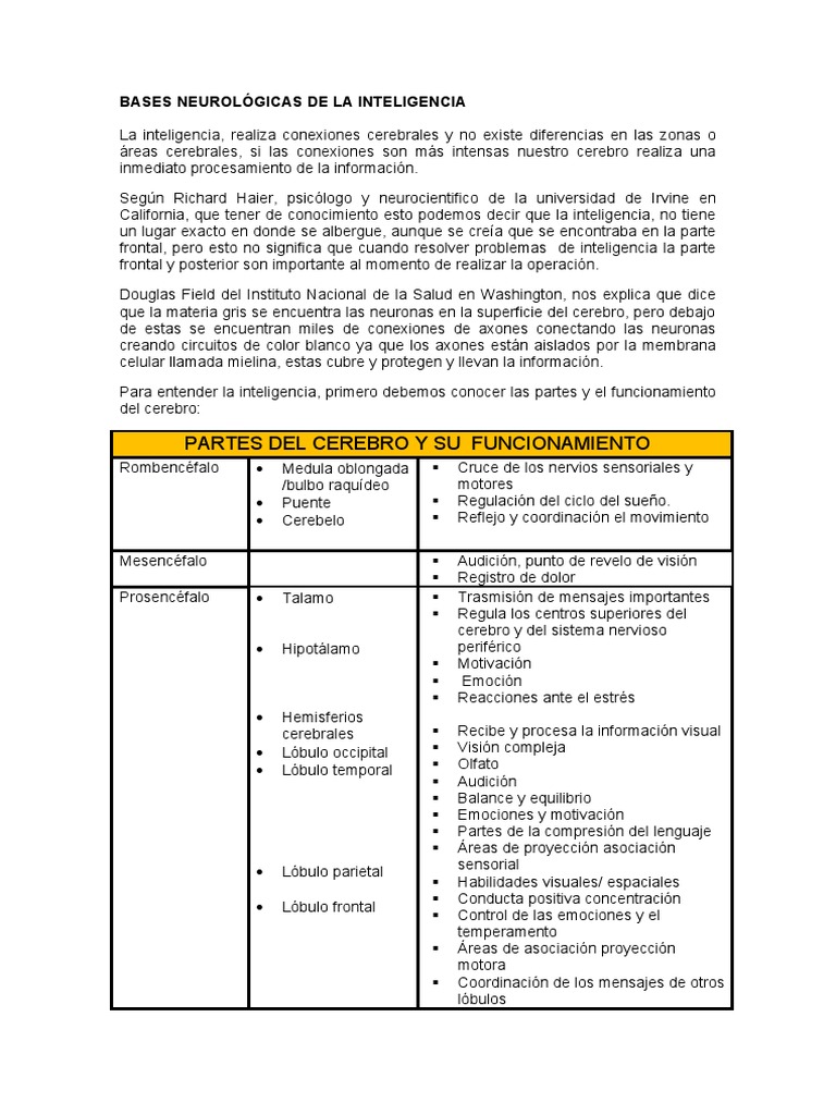 Bases Neurológicas de La Inteligencia | PDF | Sistema nervioso central ...