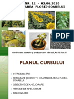 Curs Nr. 12 Ameliorarea Florii-Soarelui