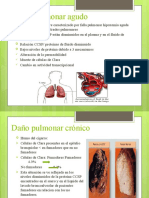 Daño Pulmonar Agudo