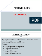 Aspergillosis