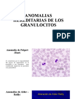 Anomalias Hereditarias de Los Granulocitos