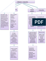 Mapa Conceptual Aduana y Aranceles