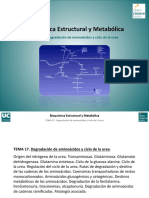 Tema 17. Degradacion de aminoacidos.pdf