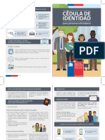 Cedula de Identidad para Personas Extranjeras 2019