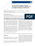 dp - breast path