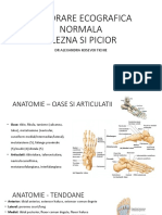 Explorare Normala Glezna Si Picior