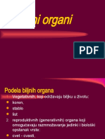 Biljni Organi