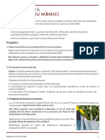 Ghid practic - Flori pentru mămici.pdf
