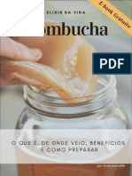 E-Book Kombucha-2 PDF