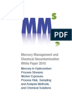 mmsmercurydecontaminationwhitepaperfinal-100314092414-phpapp01