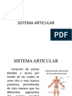 Sistema articular: Estructura y tipos de articulaciones