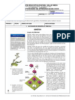 BIOLOGÍA 9º - YAIR CAFIEL - Yair Rafael Cafiel Cuello