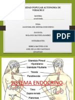 Glándula Tiroides exposicion anatomia 1.pptx