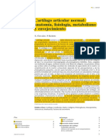 1 Cartilago Articular Normal PDF
